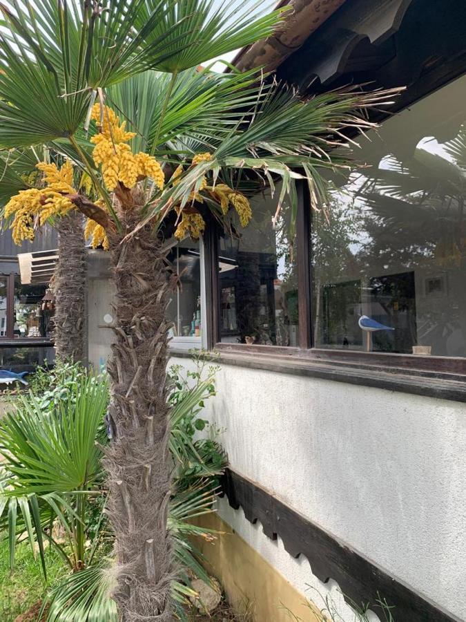 La Doi Pasi De Mare Hotel Vama Veche Buitenkant foto
